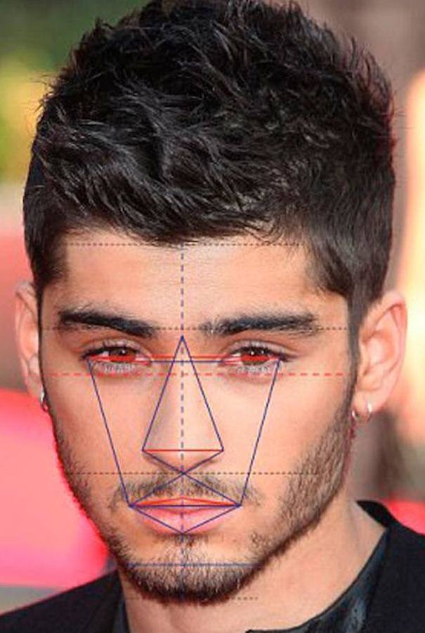 Zayn Malik 86,5%