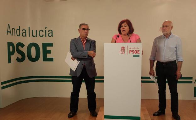 El PSOE cree que la visita a Granada de Rajoy y de siete ministros "no solucionó nada"