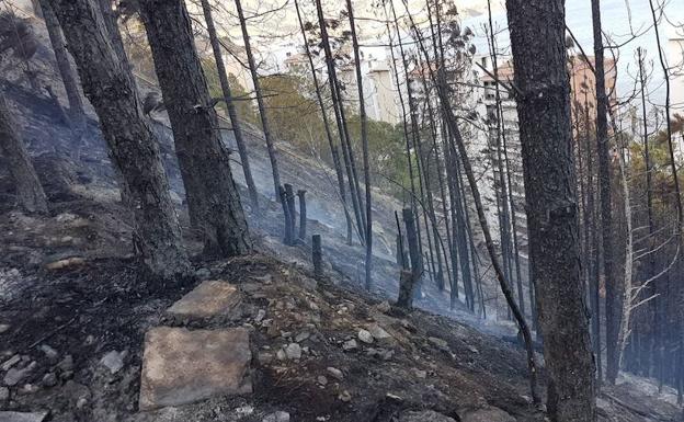 Fuego declarado en un pinar de las laderas de la playa de Velilla. 