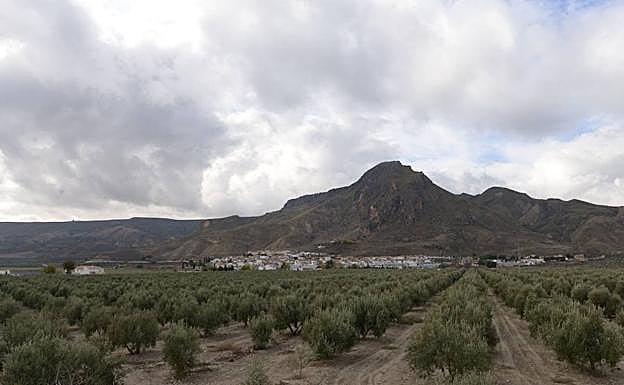 Vista general de Alicún de Ortega.