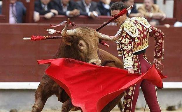 Finito de Córdoba en una corrida reciente. 