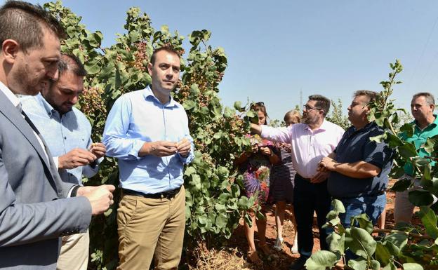 Los grupos de desarrollo de Granada impulsarán el empleo y la innovación rural con 35,6 millones