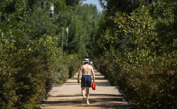 Las altas temperaturas continúan siendo un habitual en Granada.