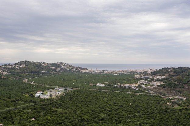 Vista general del campo sexitano, uno de los más castigados por la sequía de la Comarca. 