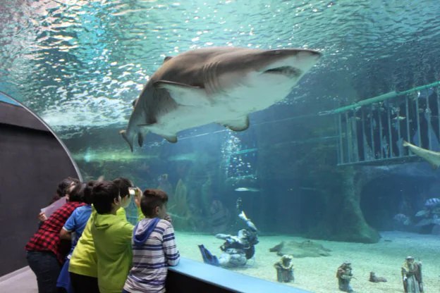 El Aquarium de Roquetas es uno de los más grandes de Andalucía.