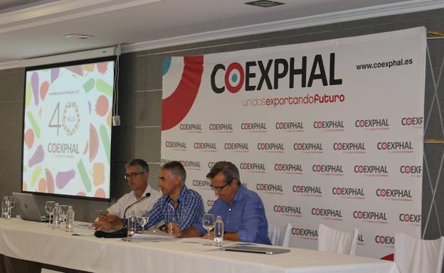 Coexphal renueva su directiva y aprueba la memoria anual de la pasada campaña