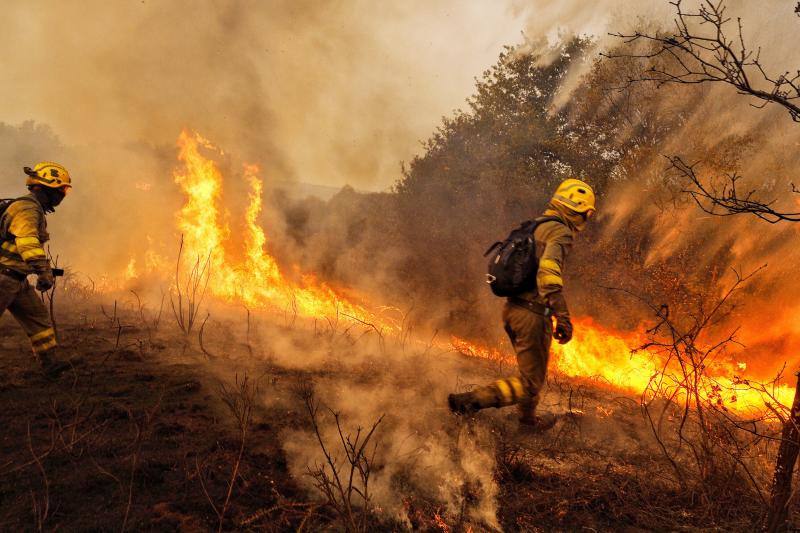 Unos 350 brigadas, 220 motobombas, cuarenta palas y una veintena de medios aéreos trabajan en la comunidad gallega para combatir los incendios que arrasan más de 4.000 hectáreas en 146 nuevos focos desde el viernes