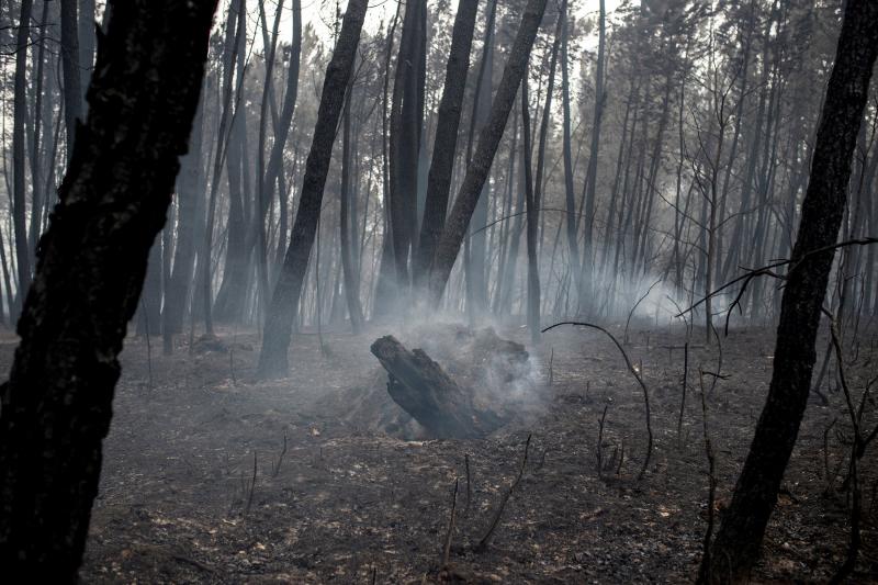 Unos 350 brigadas, 220 motobombas, cuarenta palas y una veintena de medios aéreos trabajan en la comunidad gallega para combatir los incendios que arrasan más de 4.000 hectáreas en 146 nuevos focos desde el viernes