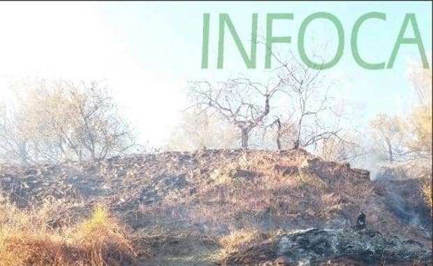 El incendio forestal de Válor afectó a 0,9 hectáreas de terreno agrícola