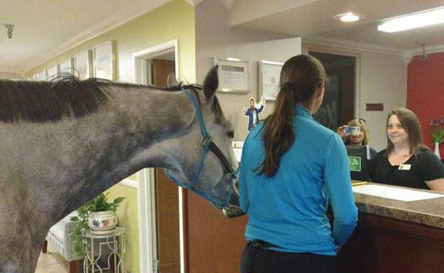 Una mujer pasa la noche en la habitación de un hotel con su caballo