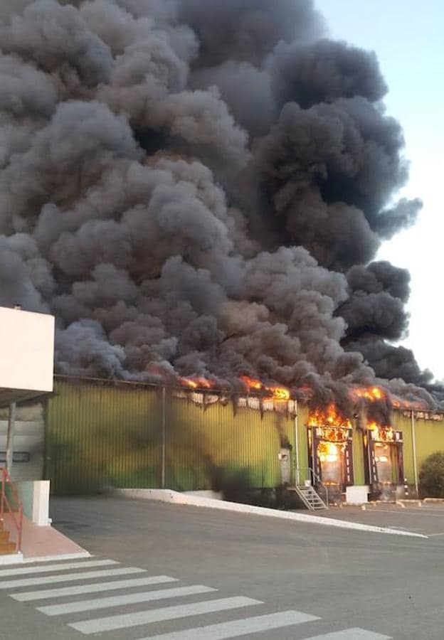 Extinguido el incendio en una nave agrícola y varios invernaderos entre Retamar y Cabo de Gata