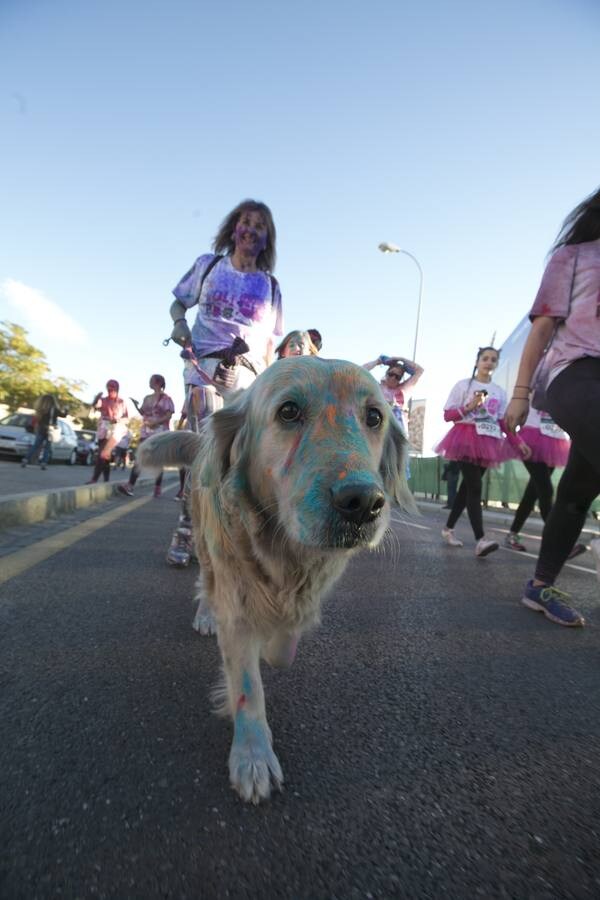 La carrera 'Holi Life' llena de color Granada