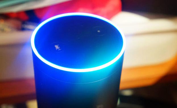 La policía entra en una casa para terminar con una fiesta que Alexa, un asistente virtual, había montado por sí sola