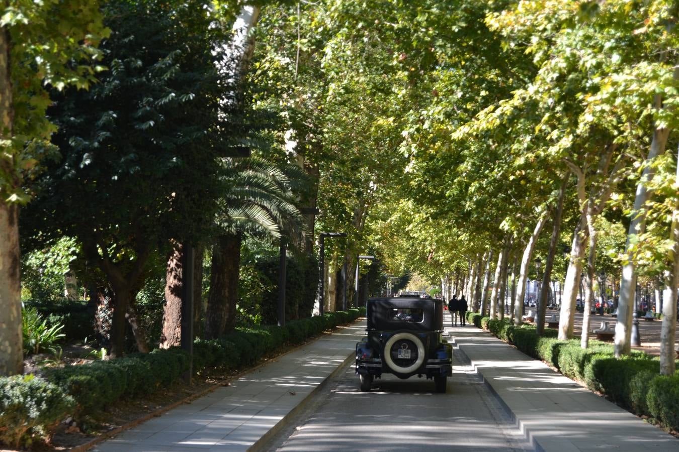 Casi cuarenta coches, entre antiguos y clásicos, han participado en la XIII Reale que ha tenido como principal novedad el incremento de gente vestida de época y las dos rutas urbanas, una con subida a la Abadía del Sacromonte y otra por Gran Vía, Constitución y Camino Ronda.