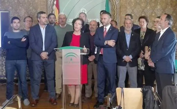 Junta, ayuntamientos y empresas se alían por la alta tensión entre Almería y Granada