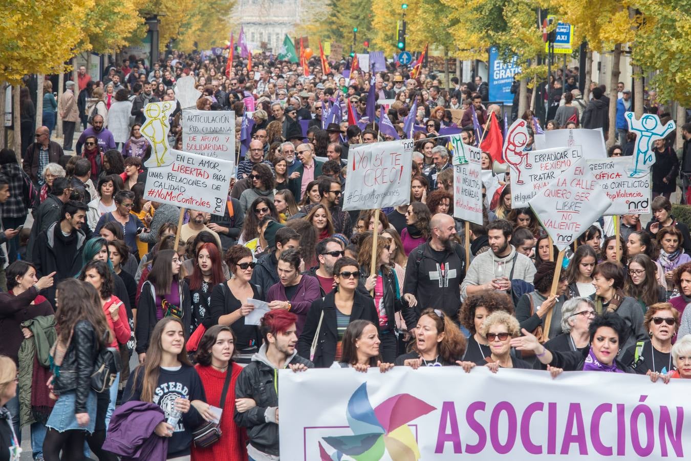 La Plataforma 25 de Noviembre en Granada, integrada por colectivos feministas, sindicatos y grupos políticos, ha puesto este año especial acento en el caso de Juana Rivas durante la manifestación, en la que, según un portavoz de la Policía Local, han participado este mediodía más de 20.000 personas por las calles del centro de esta capital andaluza