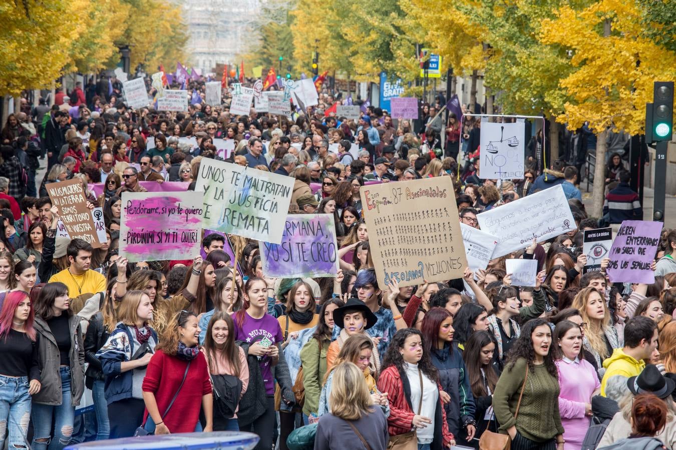 La Plataforma 25 de Noviembre en Granada, integrada por colectivos feministas, sindicatos y grupos políticos, ha puesto este año especial acento en el caso de Juana Rivas durante la manifestación, en la que, según un portavoz de la Policía Local, han participado este mediodía más de 20.000 personas por las calles del centro de esta capital andaluza