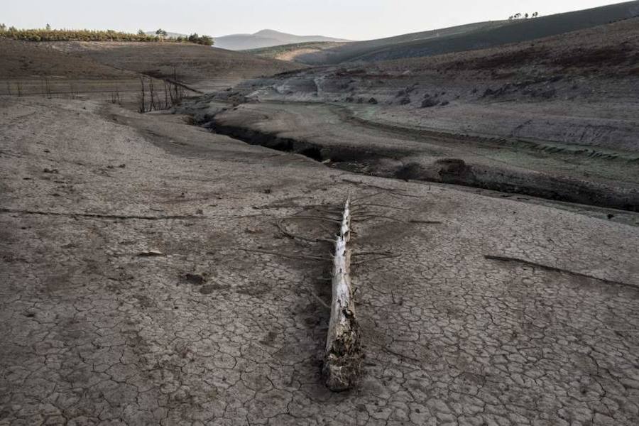 Río Camba (Ourense)