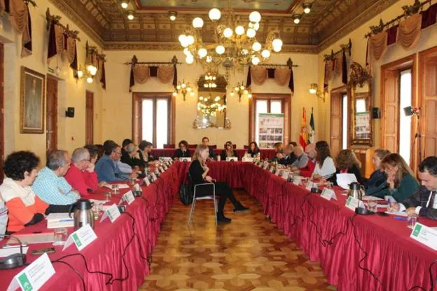 Reunión del Consejo Provincial de Discapacidad, ayer, en la Delegación del Gobierno andaluz.