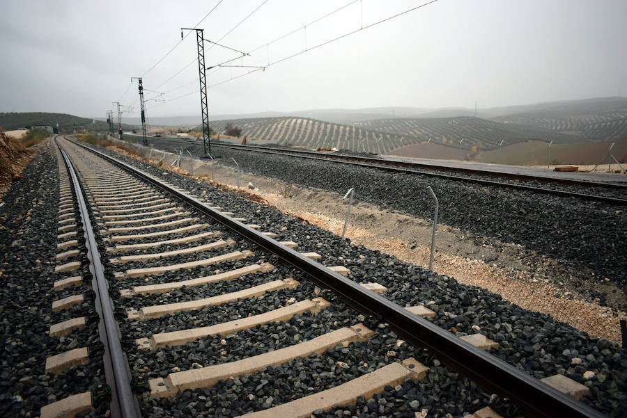 De la Serna señaló este miércoles en el Congreso que «dentro de unos meses» podrán volver los trenes, sin precisar ningún plazo