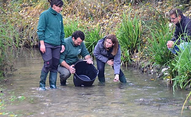 La Junta impulsa la recuperación del cangrejo autóctono de río en el Darro