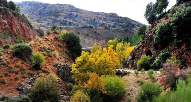 El color ocre dibuja el paso del arroyo de las Perdices.