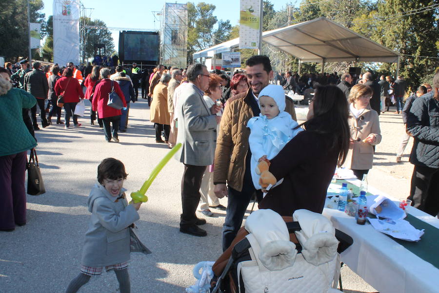 Miles de personas se dan cita en Martos en una Fiesta de la Aceituna 'nueva', con más de ocho mil hoyos de aceite repartidos, sorpresas y apuntando a ser Fiesta de Interés Turístico Andaluz 