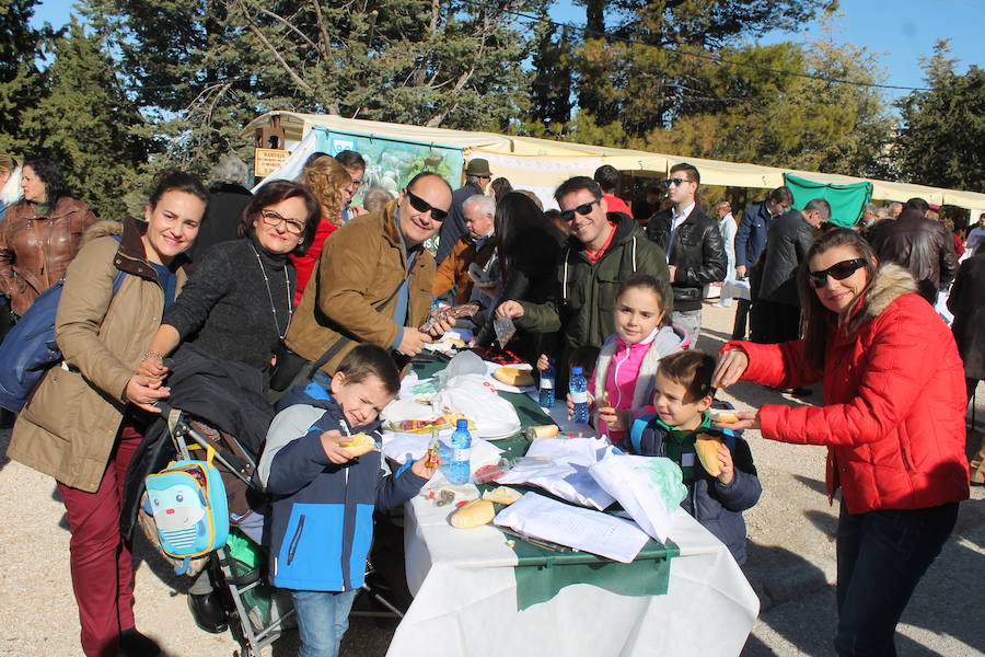 Miles de personas se dan cita en Martos en una Fiesta de la Aceituna 'nueva', con más de ocho mil hoyos de aceite repartidos, sorpresas y apuntando a ser Fiesta de Interés Turístico Andaluz 