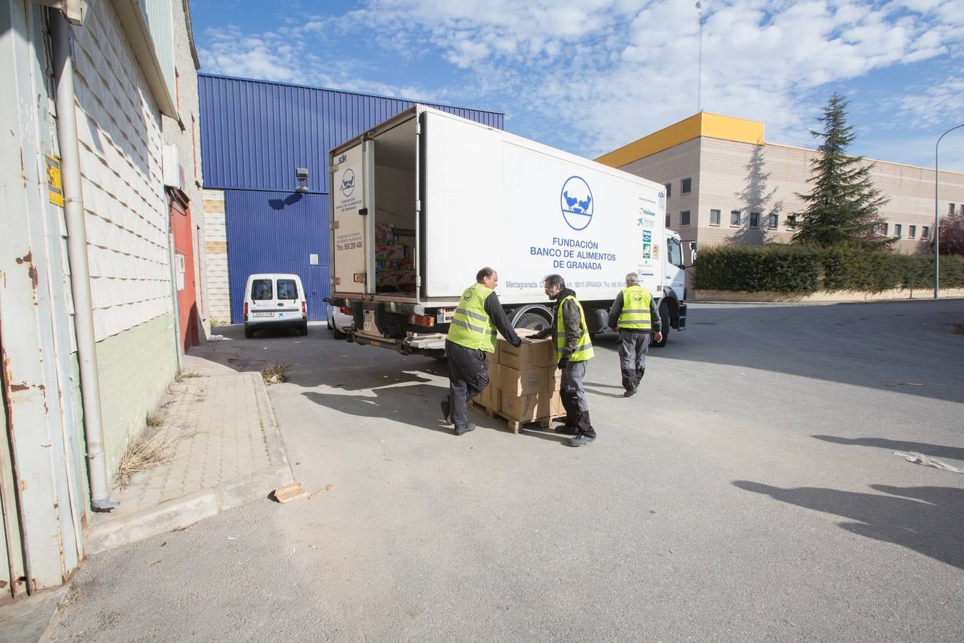 El Banco de Alimentos de Granada logra miles y miles de kilos de comida en la 'quinta gran recogida' de diciembre