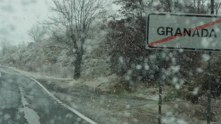 El Puerto de la Mora, principal damnificado por las últimas precipitaciones