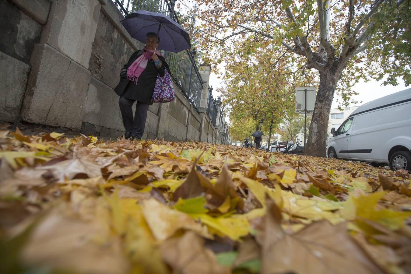 Granada vivió un 11 de diciembre lluvioso