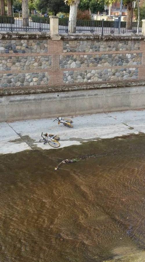 Los servicios de alquiler de bicicletas de la capital sufren varios incidentes en las últimas semanas