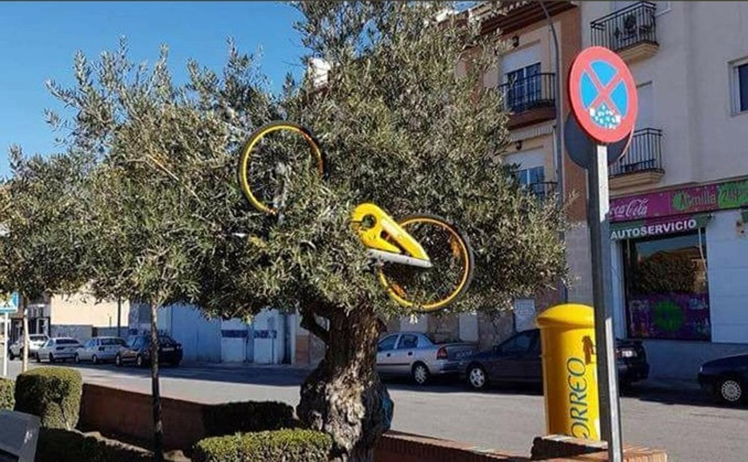 Los servicios de alquiler de bicicletas de la capital sufren varios incidentes en las últimas semanas