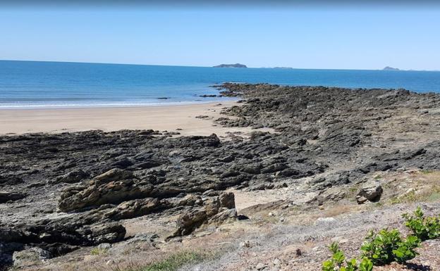 Desconcierto por la extraña y misteriosa criatura aparecida en esta playa 