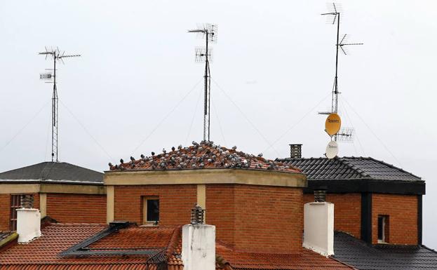 Varias antenas en un tejado.