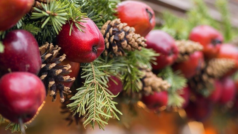 El peligro que acecha a tu árbol de Navidad y que tú no conocías