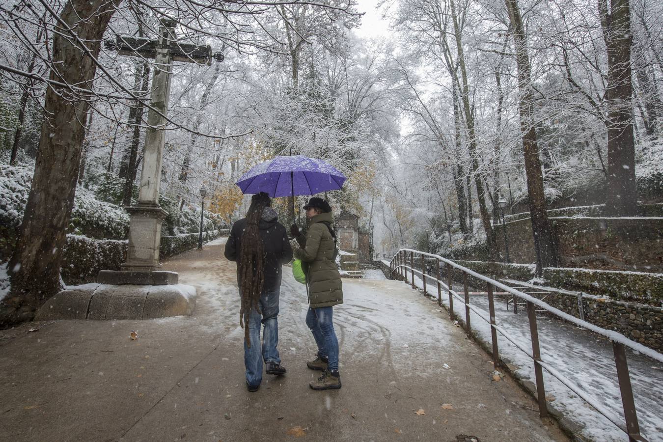 Fueron muchos los que disfrutaron del privilegio de ver el monumento nazarí cubierto de nieve