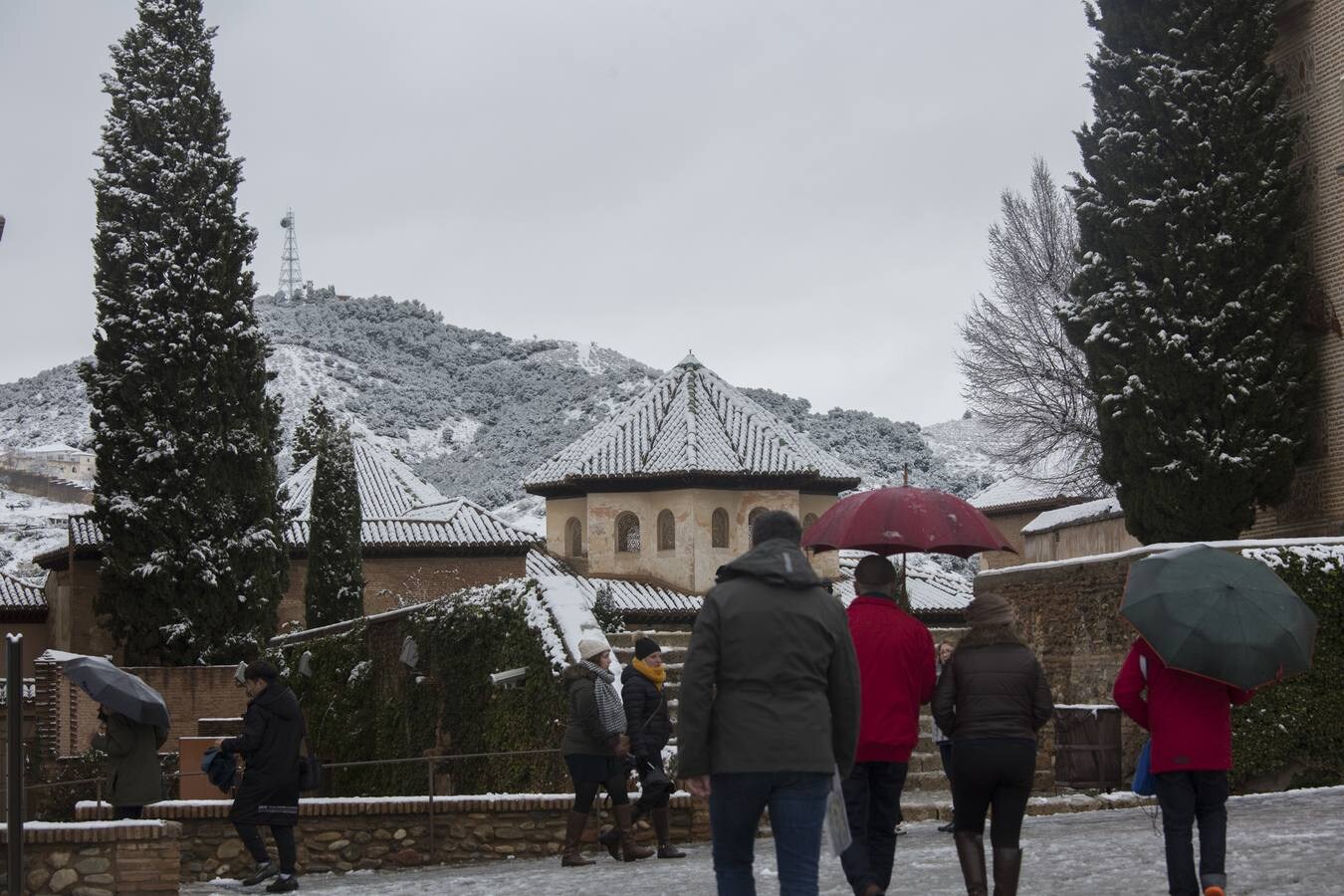 Fueron muchos los que disfrutaron del privilegio de ver el monumento nazarí cubierto de nieve