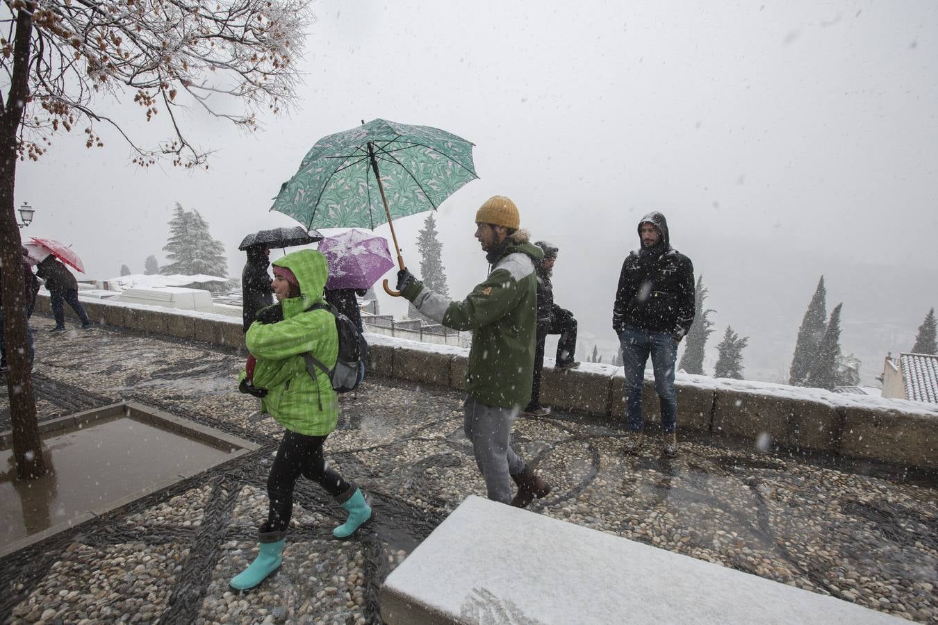 Granada lució de blanco el día de Reyes