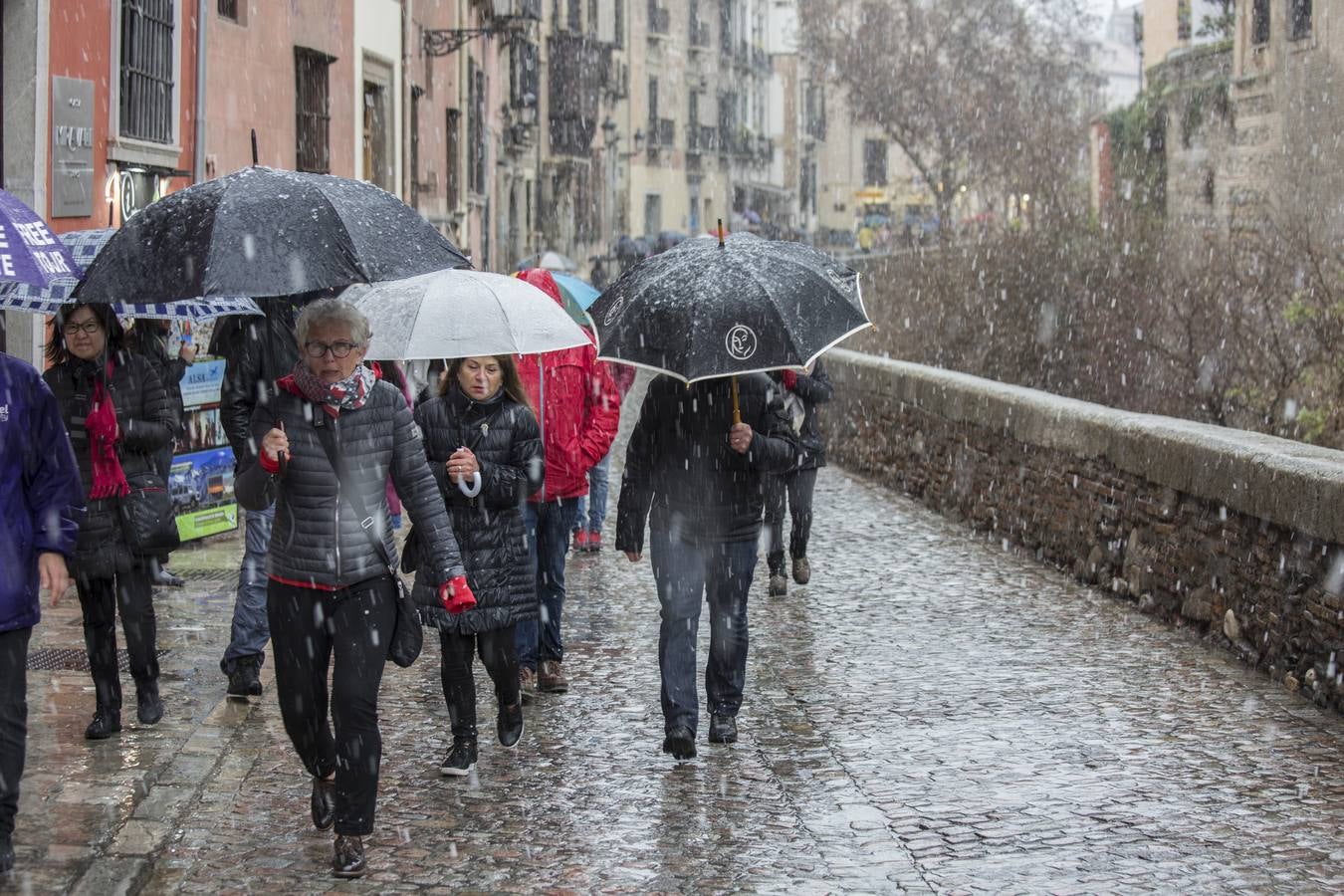Granada lució de blanco el día de Reyes