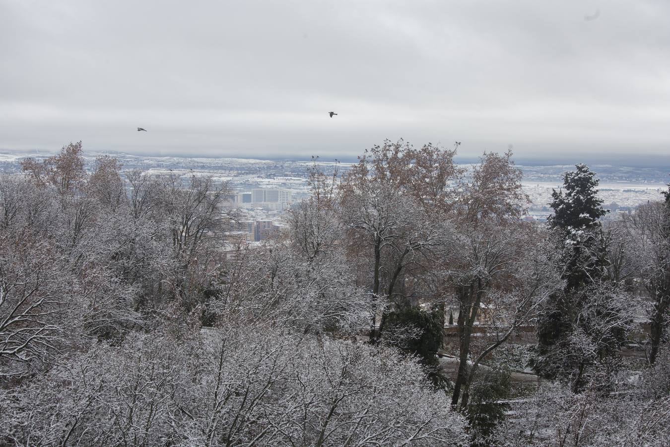 Granada lució de blanco el día de Reyes