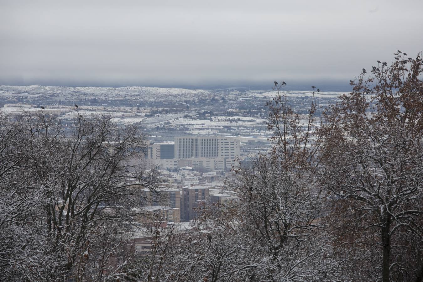 Granada lució de blanco el día de Reyes