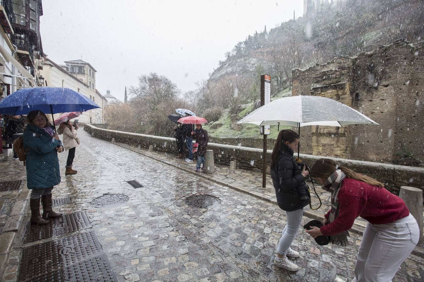 Granada lució de blanco el día de Reyes