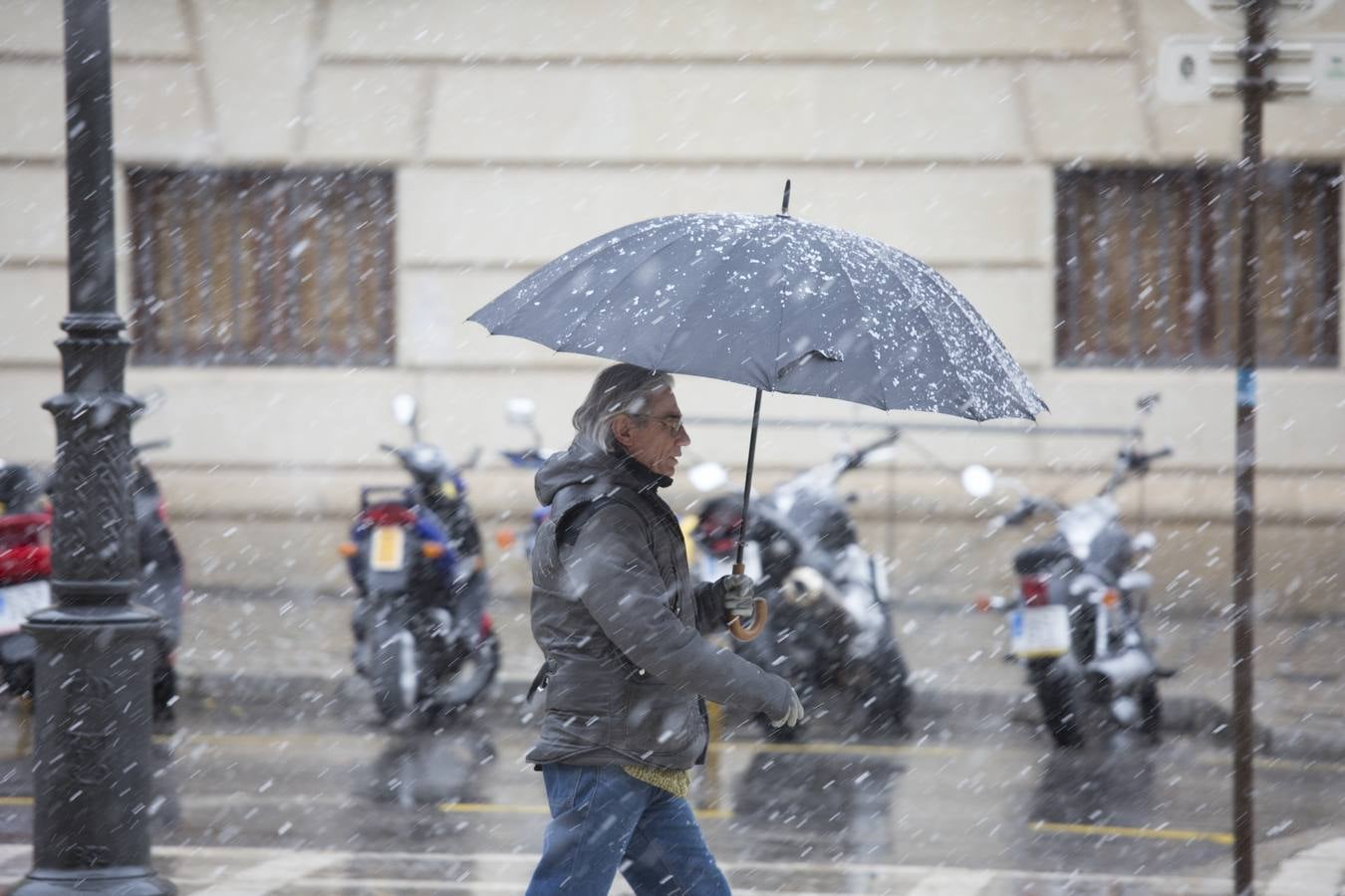 Granada lució de blanco el día de Reyes