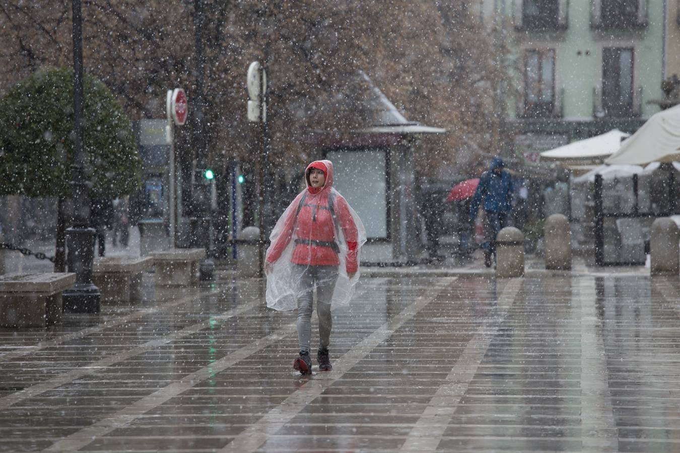 Granada lució de blanco el día de Reyes