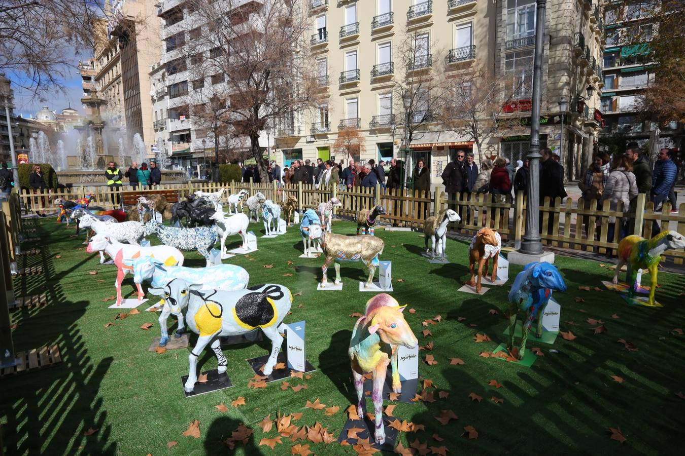 Exposición de más de 20 esculturas de fibra de vidrio en tamaño natural de corderos diseñadas por el escultor Miguel Moreno y decoradas por artistas, una muestra en Puerta Real