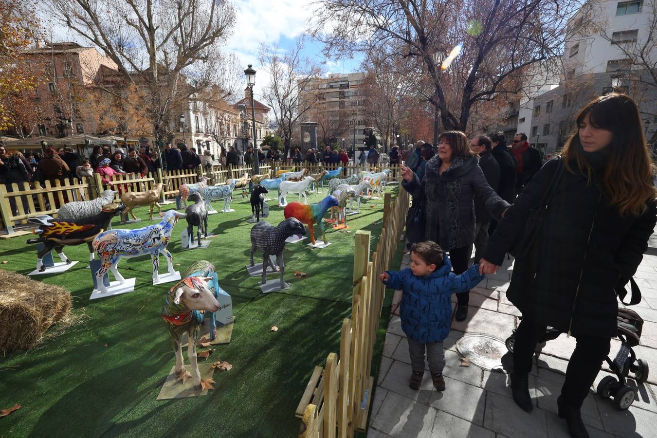 Exposición de más de 20 esculturas de fibra de vidrio en tamaño natural de corderos diseñadas por el escultor Miguel Moreno y decoradas por artistas, una muestra en Puerta Real