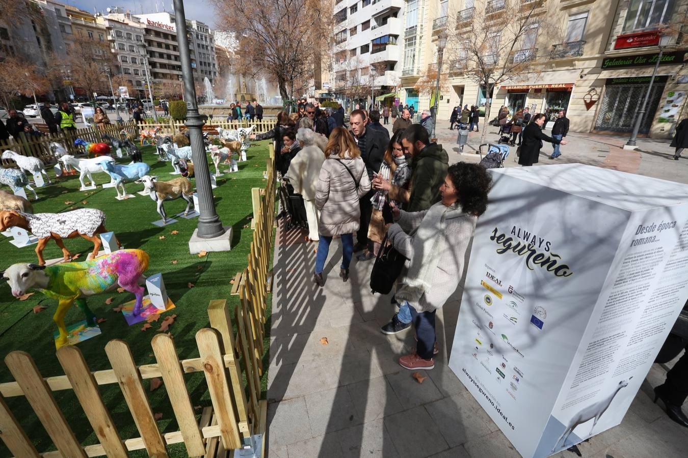 Exposición de más de 20 esculturas de fibra de vidrio en tamaño natural de corderos diseñadas por el escultor Miguel Moreno y decoradas por artistas, una muestra en Puerta Real