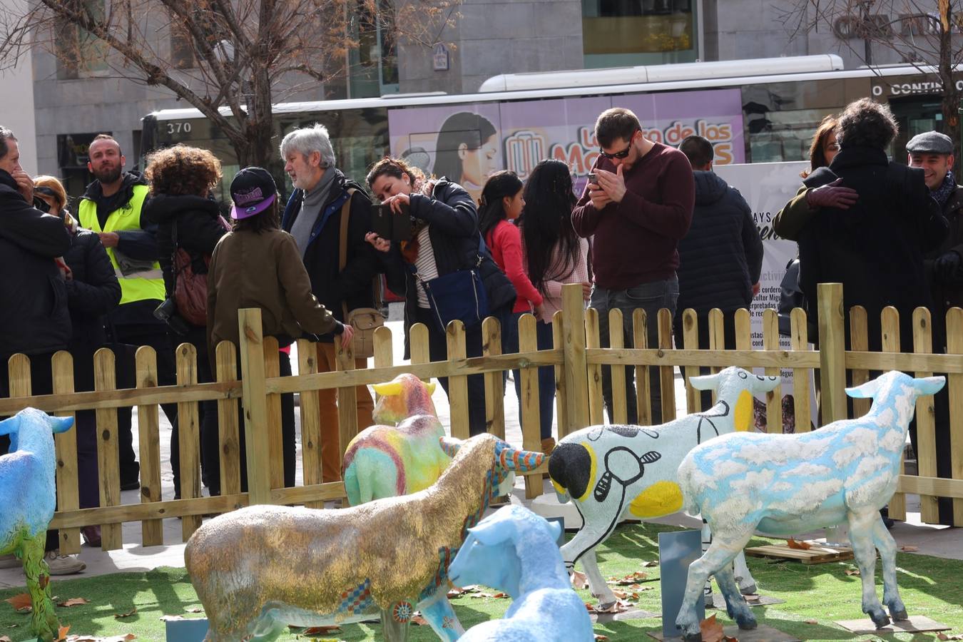 Exposición de más de 20 esculturas de fibra de vidrio en tamaño natural de corderos diseñadas por el escultor Miguel Moreno y decoradas por artistas, una muestra en Puerta Real