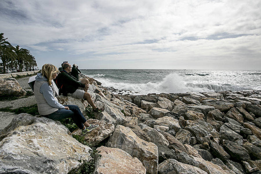 El temporal vuelve a sacudir a la Costa de Granada, aunque por el momento aún no ha causado grandes destrozos en las playas ni ha borrado con el viento la arena. Grandes olas en Almuñécar.